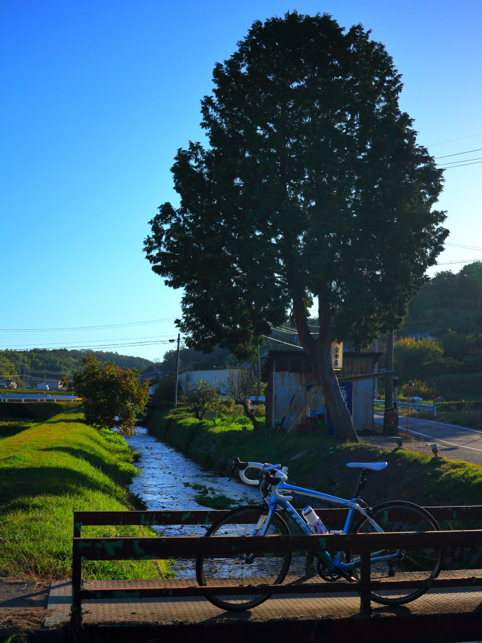 e0009009_14263759.jpg