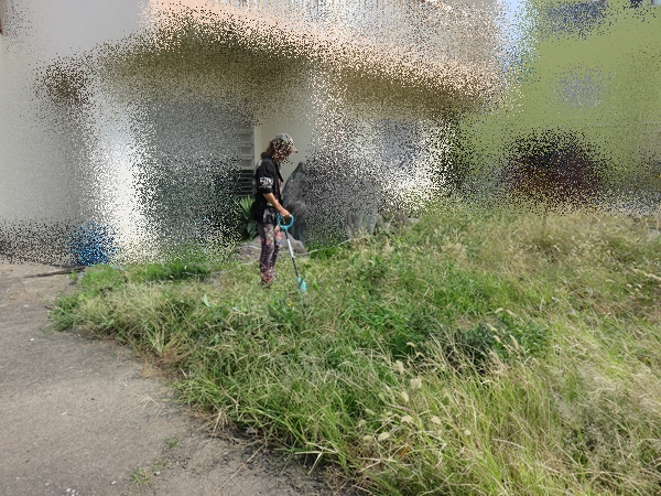 e0188009_422158.jpg