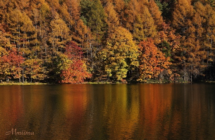 f0131611_05075337.jpg