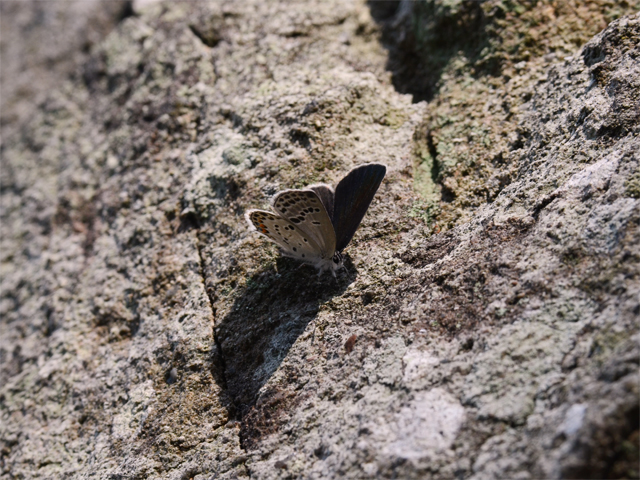 d0332816_21423777.jpg