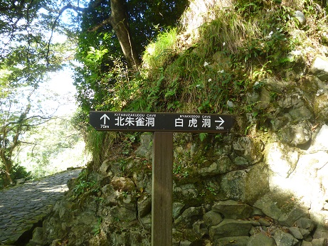 f0228619_19313669.jpg