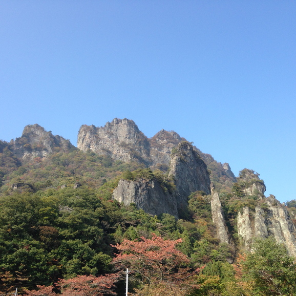 d0165420_209427.jpg