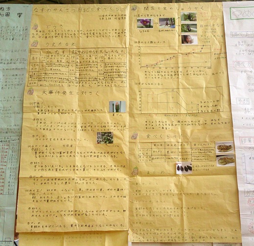 b0001324_1135156.jpg