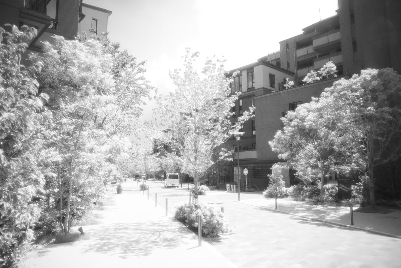 c0109827_15305275.jpg