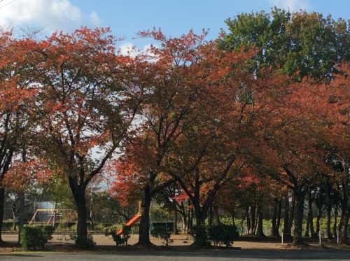 c0364428_10011138.jpg