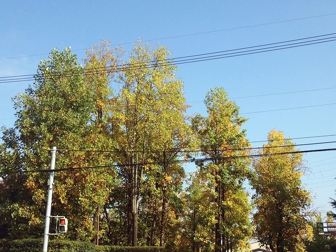 e0290331_22125473.jpg