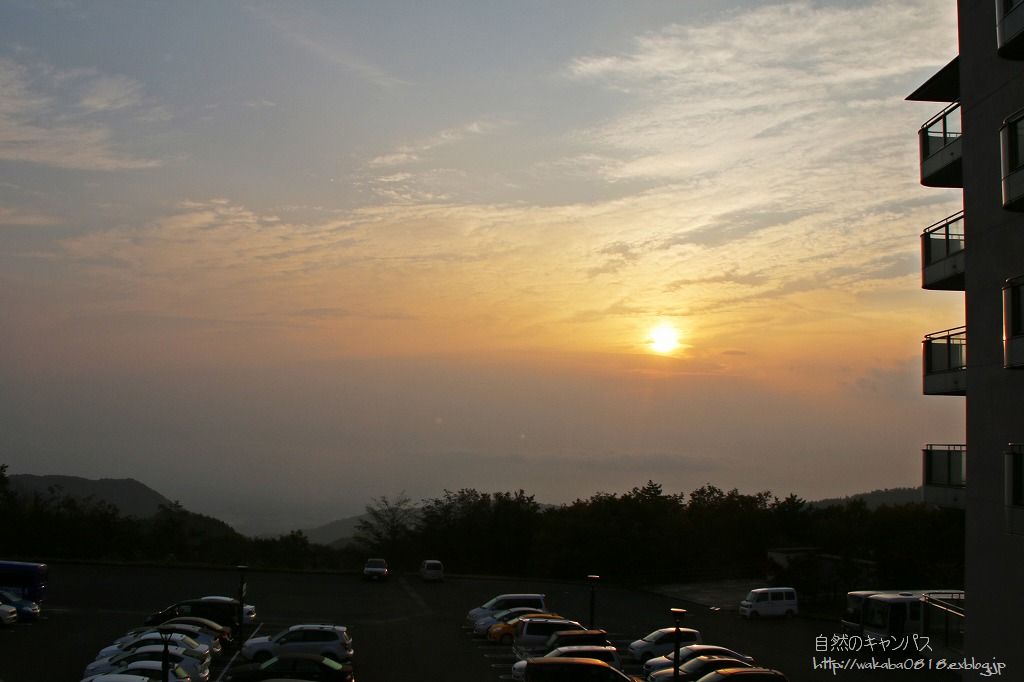 e0052135_11173044.jpg