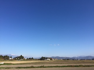 a0272241_166267.jpg