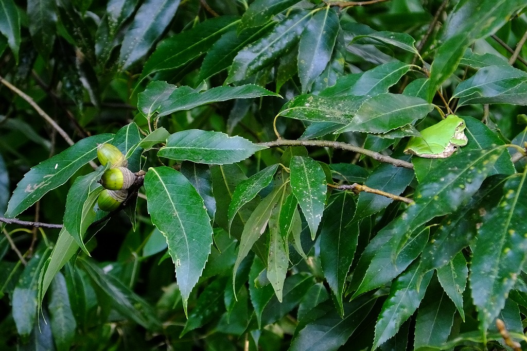 b0236251_14584016.jpg