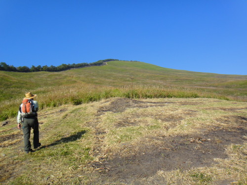 c0179351_10572622.jpg