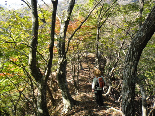 c0179351_10590876.jpg