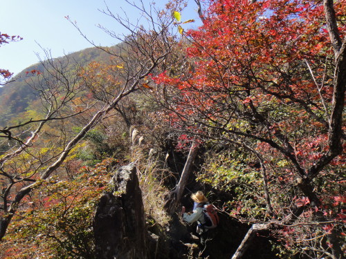 c0179351_10592976.jpg
