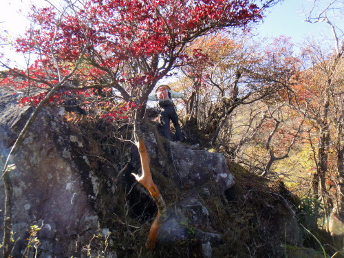 c0179351_10593650.jpg