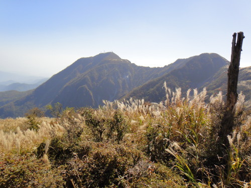 c0179351_11000736.jpg