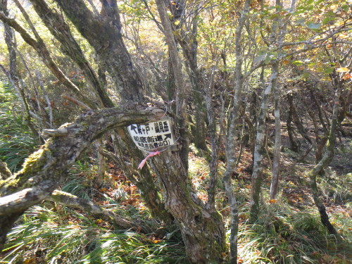 c0179351_11001831.jpg