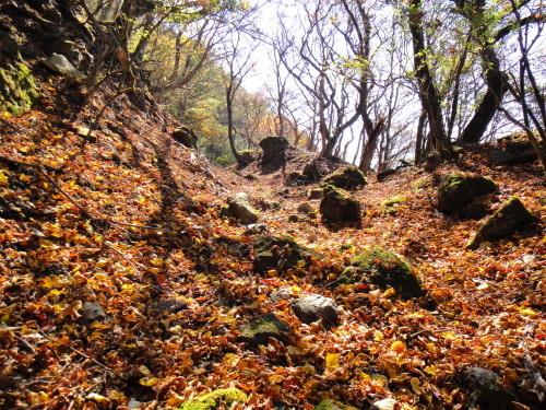 c0179351_11002636.jpg