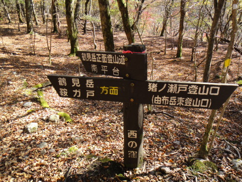 c0179351_11005043.jpg