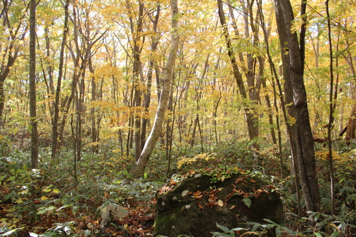 b0250154_07174932.jpg