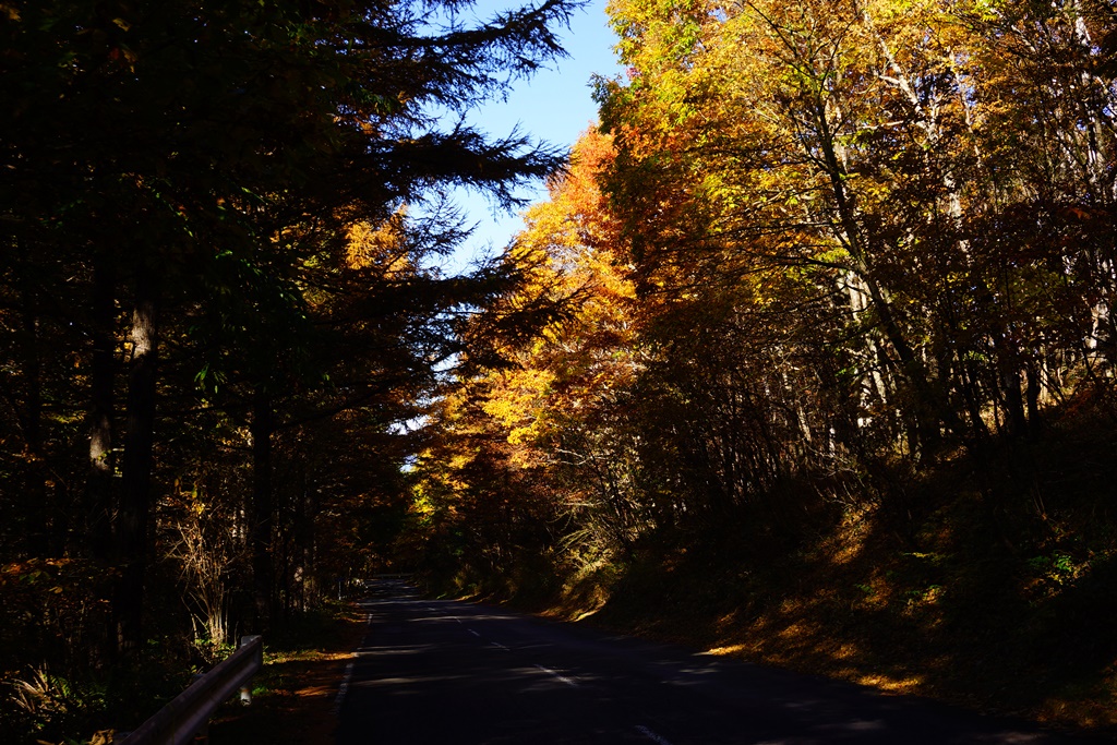 e0223456_11451440.jpg