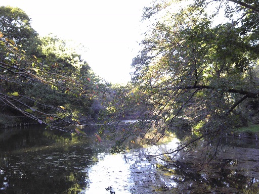 f0055956_10303279.jpg