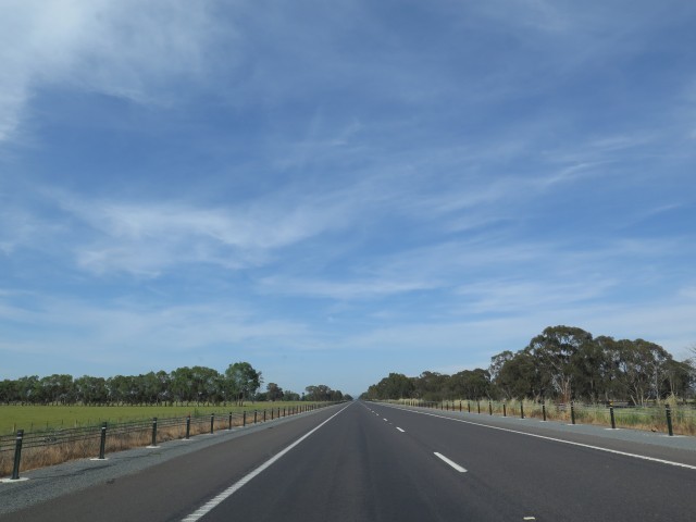a0004359_16184452.jpg