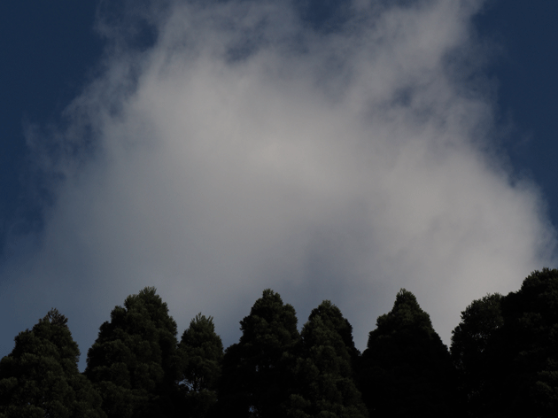 e0346064_17373616.gif