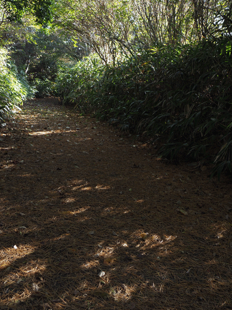 e0346064_17381957.gif