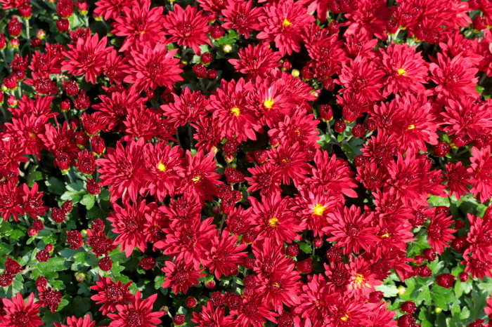 c0305565_17175241.jpg