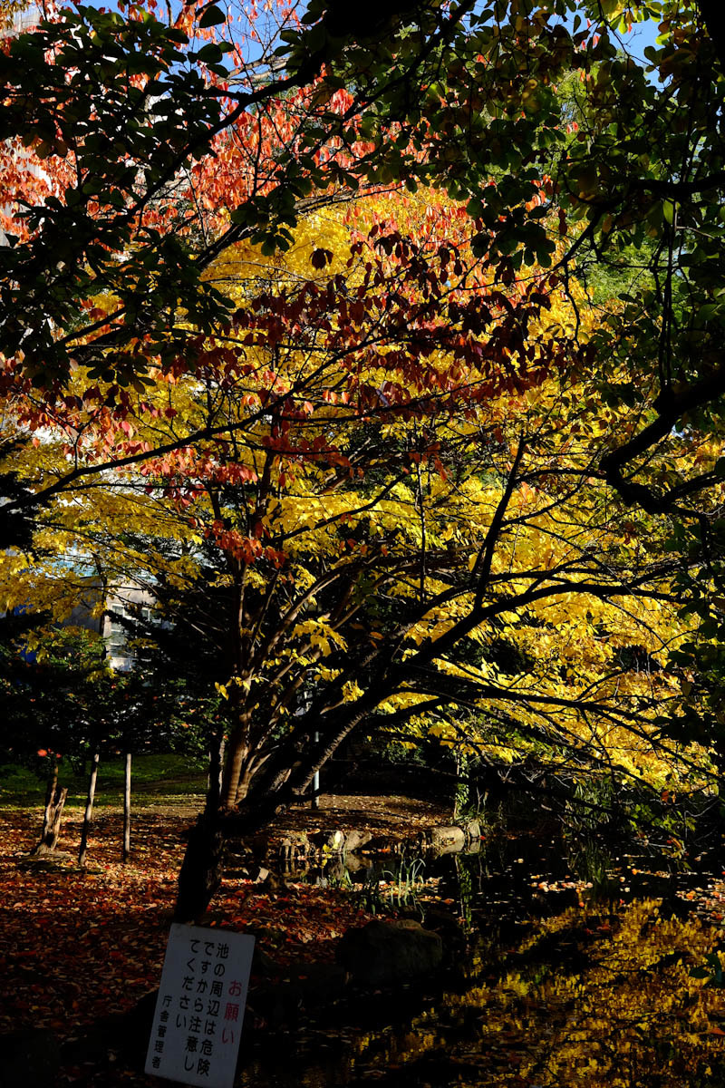 c0084666_23164566.jpg