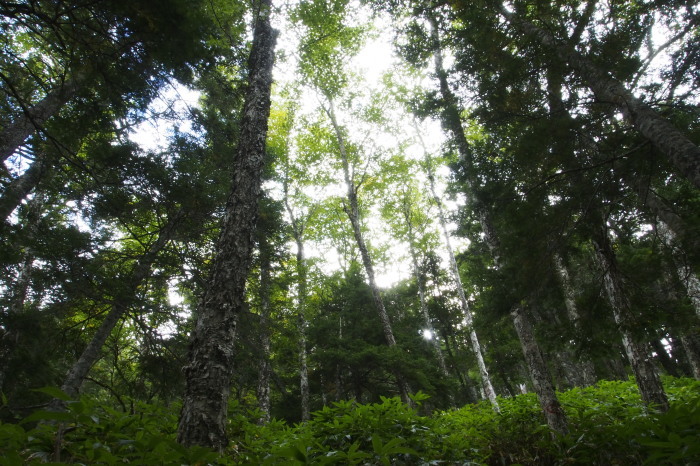 e0307372_10592807.jpg