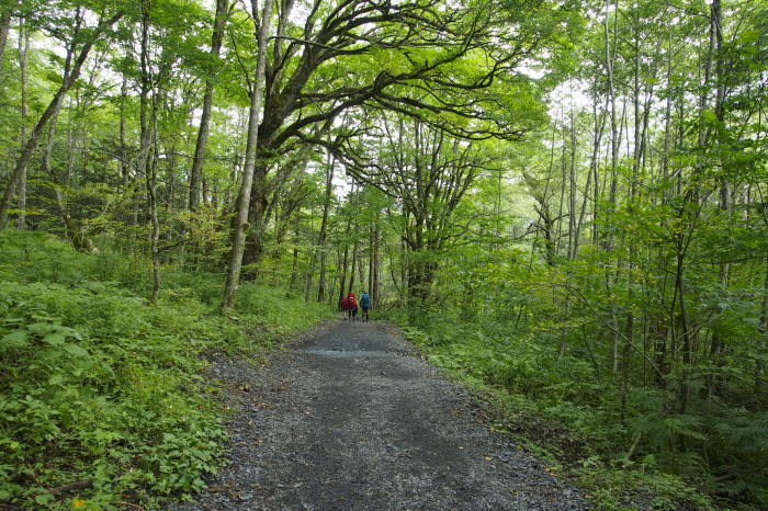 e0307372_11153930.jpg