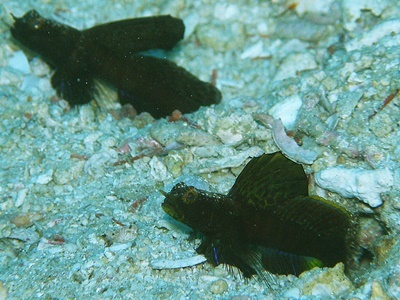 b0033573_17192405.jpg
