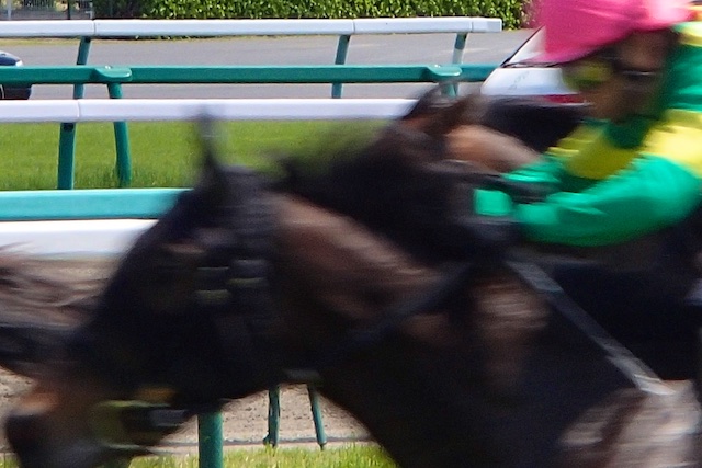 b0247073_23441364.jpg