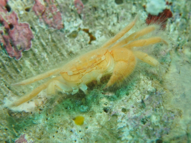 f0200373_23571529.jpg