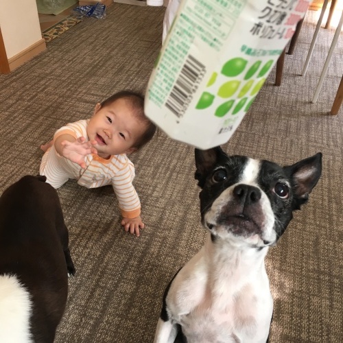 d0041575_20152373.jpeg
