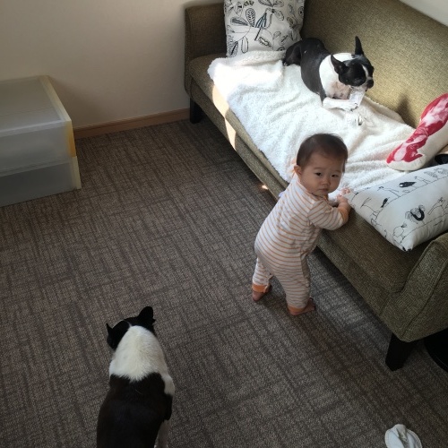 d0041575_20255691.jpeg
