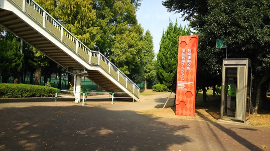 e0020682_1527740.jpg