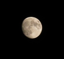 e0130185_19525110.jpg