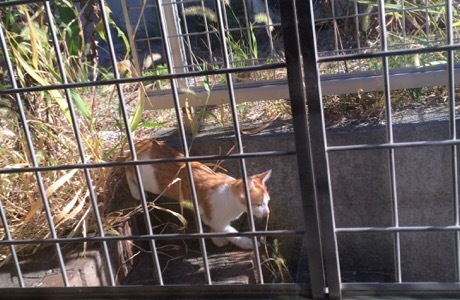 b0035391_14183557.jpeg