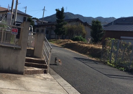b0035391_14184652.jpeg