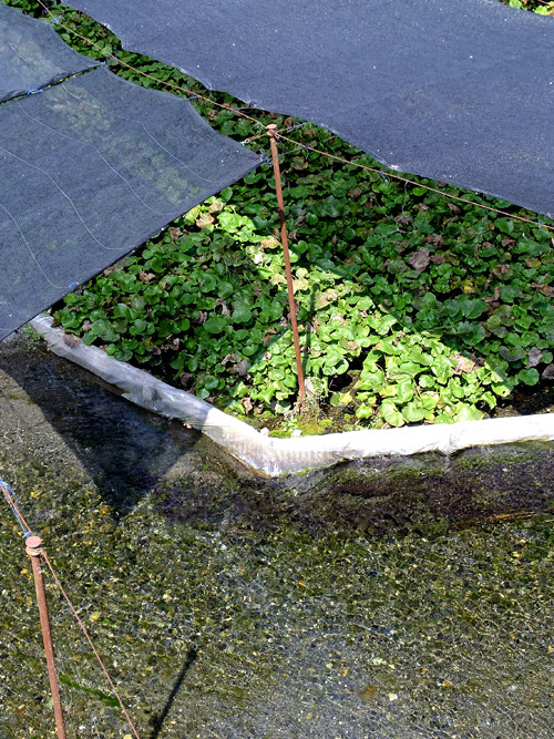 c0001491_19575384.jpg
