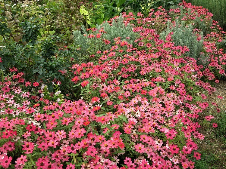 c0119197_10345463.jpg