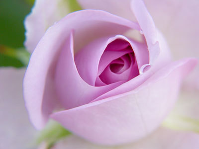 f0201297_19473179.jpg