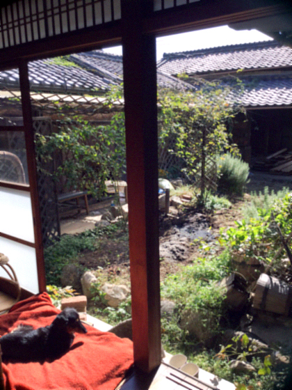 d0077603_124022.jpg