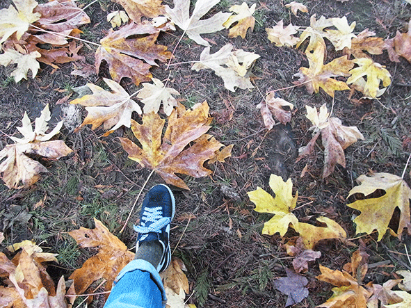 c0216405_6542355.gif