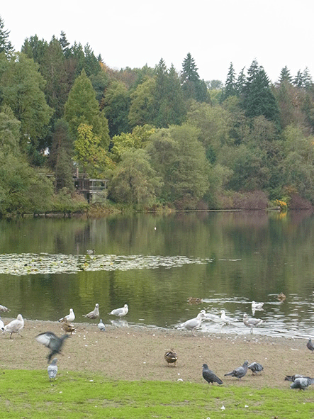 c0216405_705366.gif