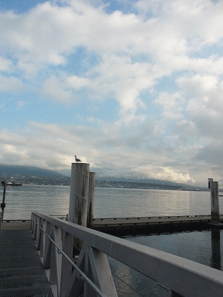 c0216405_714582.gif