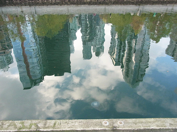 c0216405_715928.gif