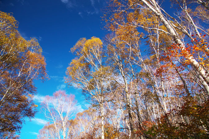 a0263109_19201286.jpg