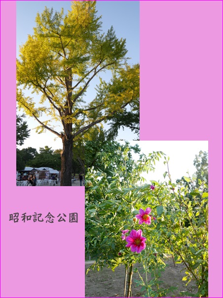 c0157412_0143786.jpg